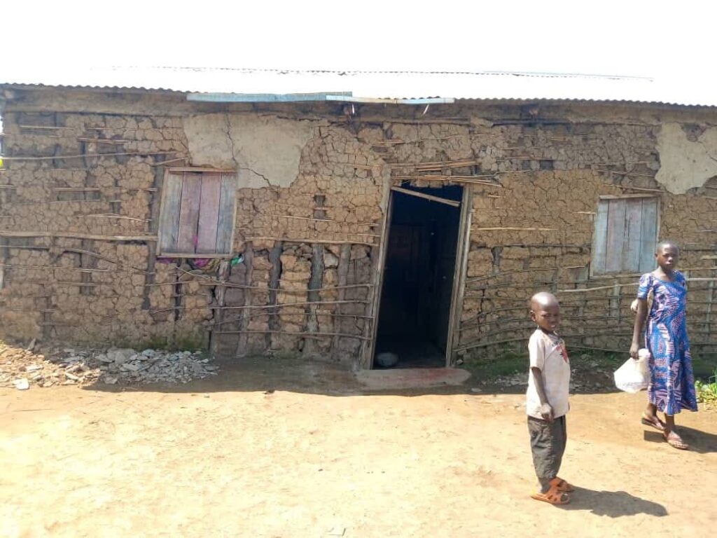 Some of the houses built at the Nyamakarabo site.